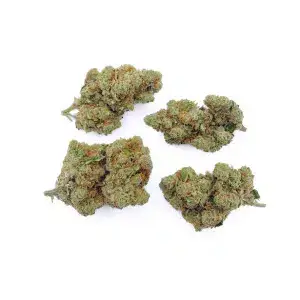 Amnesia Haze CBD – Big Bud