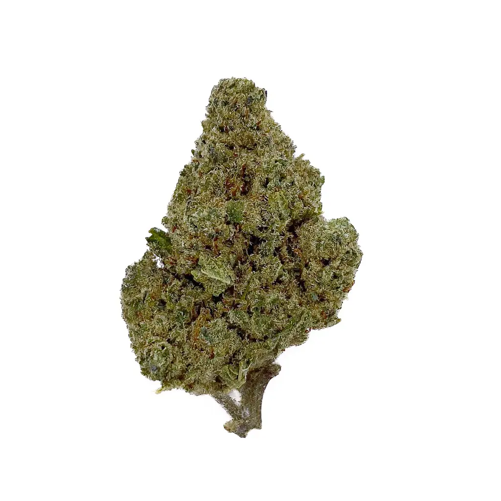 Forbidden Cookie - 30% CBN - Bud Mix