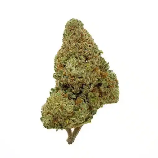 Forbidden Cookie CBD - Bud Mix